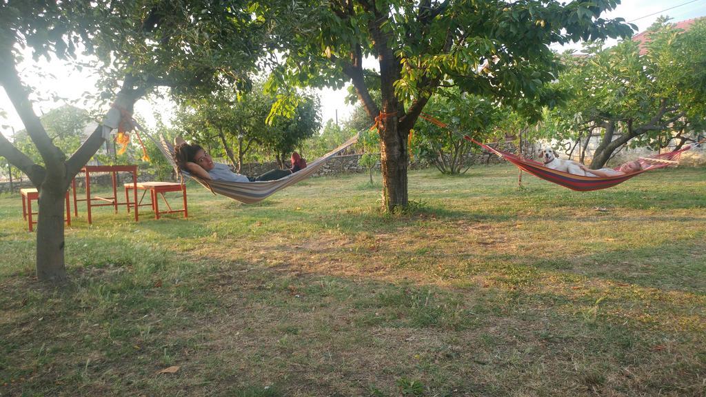 Green Garden Guesthouse Shkodra Kültér fotó